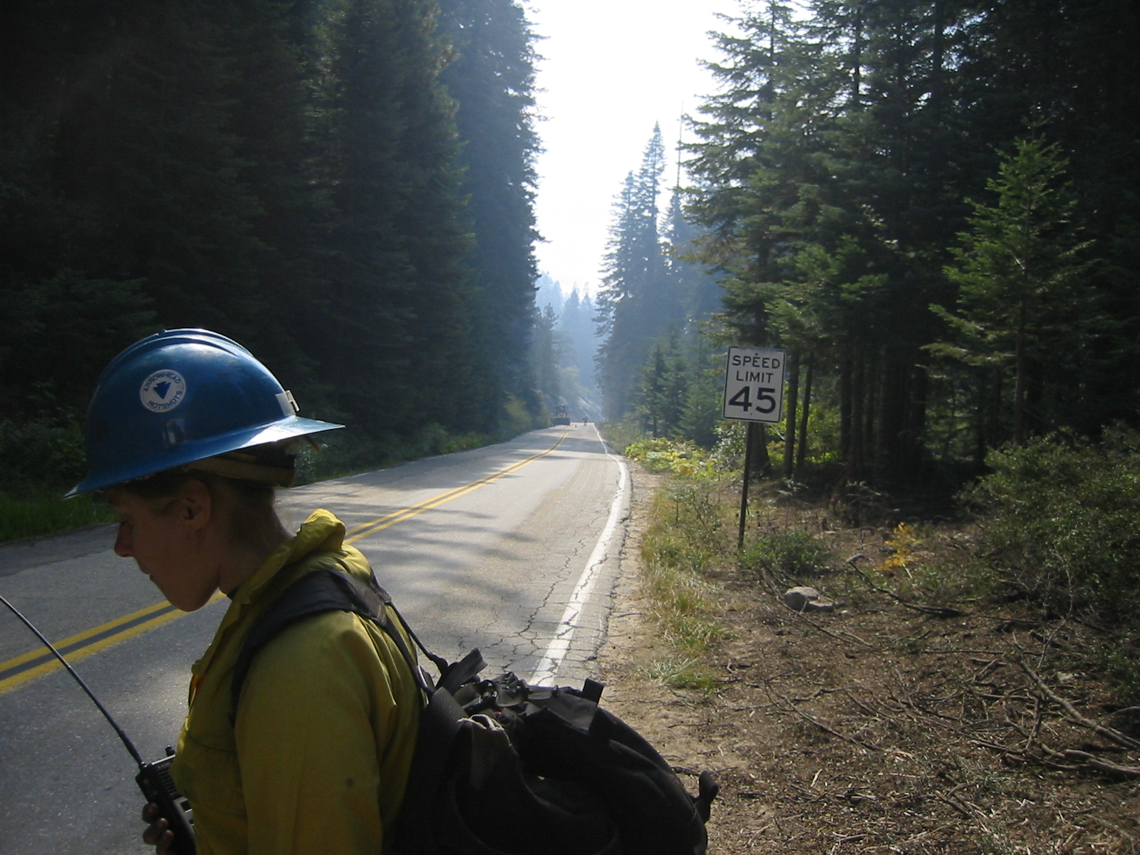 A road as a Fuel Break